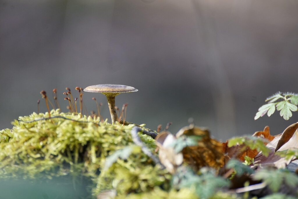 50代男性におすすめの毛穴ケア方法は？