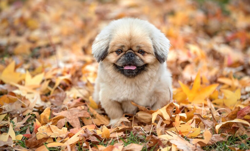 アクネスラボの正しい使い方とは？